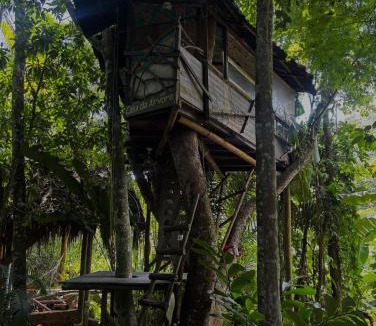 Itamambuca Bed & Breakfast | Sitio Simple Life