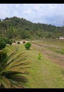 Major Gercino House | Sitio4meninos