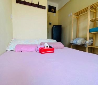Centro Apartment | Small simple single suite 305