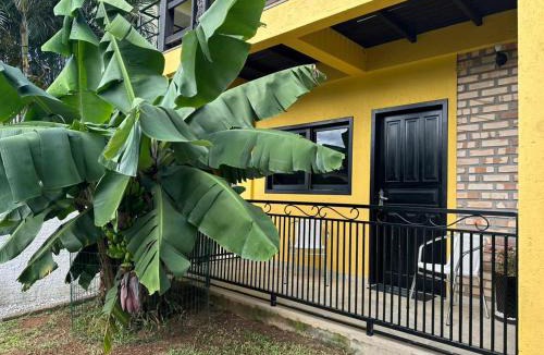 Alto Ribeirao Leste Apartment | Stúdio Amarelo