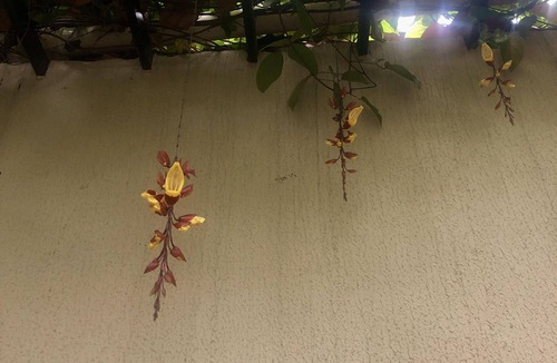 Padre Eustaquio Apartment | Studio Aconchegante e bem Localizado no Coração Eucarístico