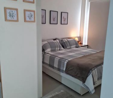 Velha Apartment | Studio Novo- Próximo à Vila Germânica