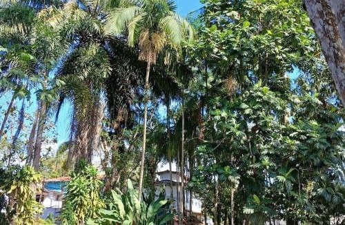 Cabore Apartment | Studio8 Centro Paraty