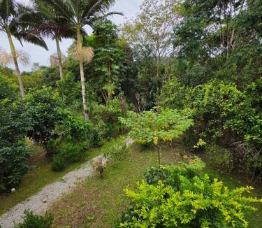 Santo Amaro da Imperatriz House | Suíte aconchegante perto - das águas termais