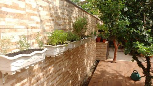 Carianos Apartment | Suite for couples