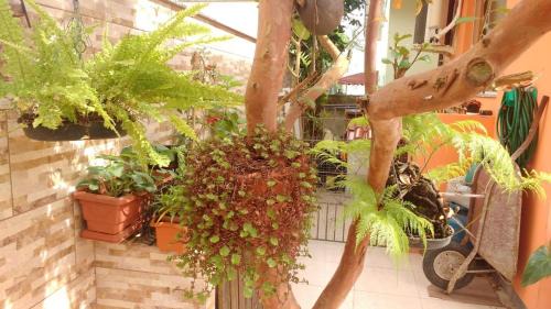 Carianos Apartment | Suite for couples