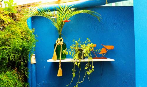 Vila do Abraao Apartment | Suites Casa Azul Caiçara, Abraão, Ilha Grande