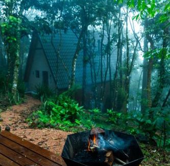 Nova Petropolis Cabin | Taboo Refúgio