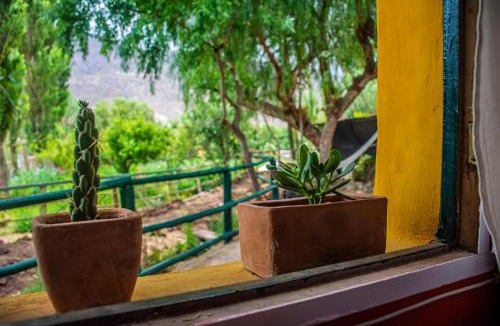 Huacalera Ski Chalet | Tale Cabaña de campo