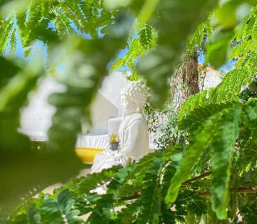 Village da Ferradura Hostel | The Eco Palace Hostel