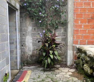 Maresias Other | Tipi
