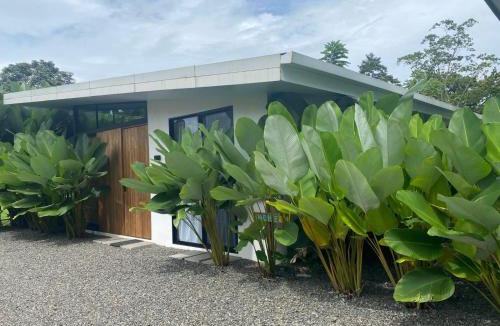 Penas Blancas Villa | Toucan home