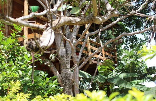 Pirenopolis Cottage | Tree House (Acácia Tree House)
