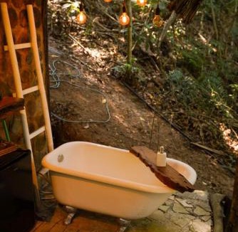 Vitor Hugo Other | Tree House