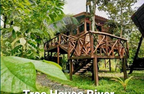 Arenal Hot Springs Apartment | Tree House River
