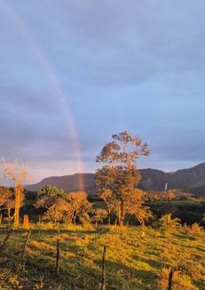 Serra da Canastra National Park House | Trilha das Flores- Serra da Canastra
