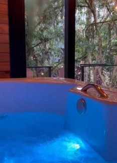 Alto Gasparinho Ski Chalet | Um chalé e um riacho no meio da natureza