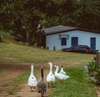 Vassouras House | Vale Zirá