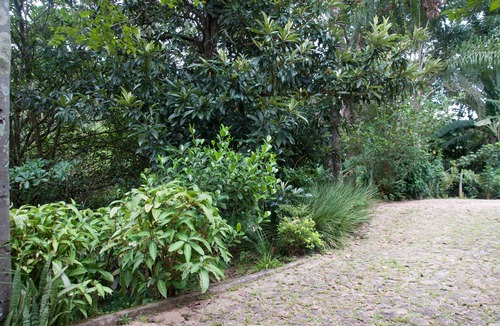 Sao Sebastiao das Aguas Claras House | Villa Bottaro. You closer to nature!
