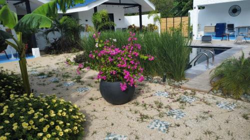 Santa Cruz Apartment | Villa Peuchere