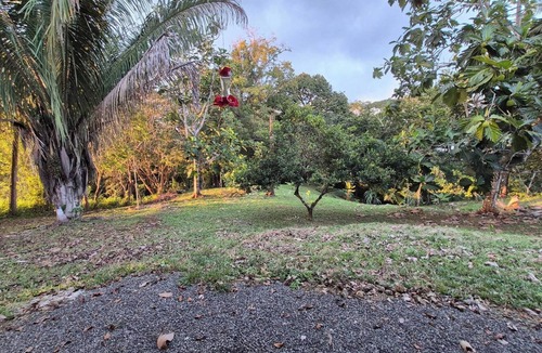 Cobano Villa | Villa Pura Vida - Mango