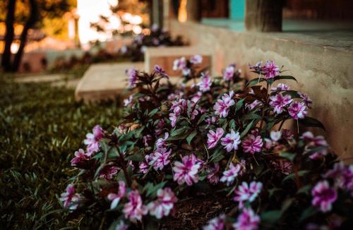 Tiradentes Cabin | Villa Vinil