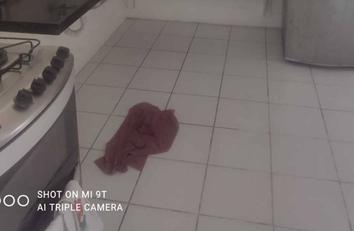 Mangabeiras Apartment | Vrbo Property
