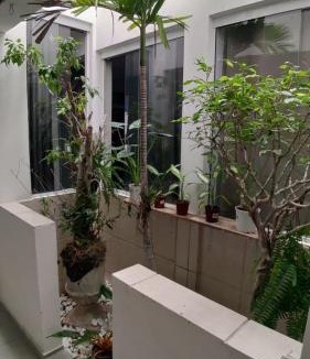 Florianopolis Hostel | Way Up Hostel