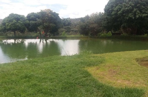 Ipiranga House | Will Call Black Kettle