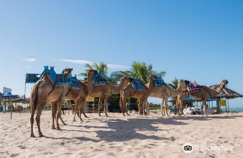 Praia do Meio Hotel | Yak Beach Hotel Natal