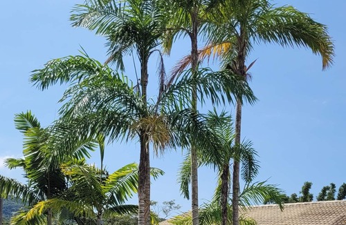 Sertao do Trombudo House | Your beach vacation home.