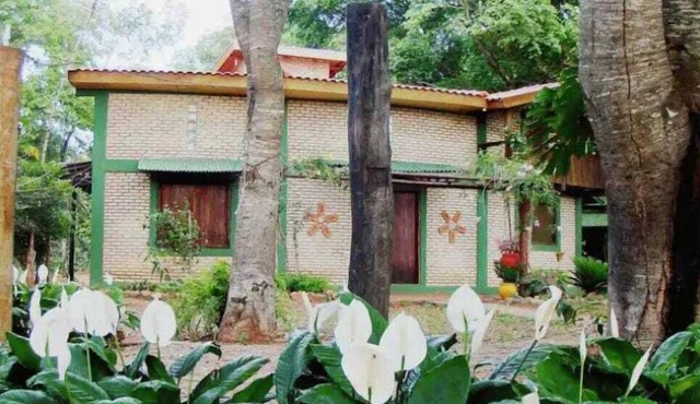 A rustic and charming chalet nestled among centuries-old Jatobá trees!