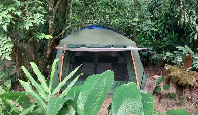 A unique immersion in Nature!
