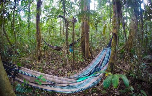 Acampamento selvagem