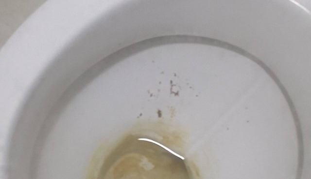 Apartamento na 3a Etapa e 800 Metros do Praia de Itaparica por Temporada