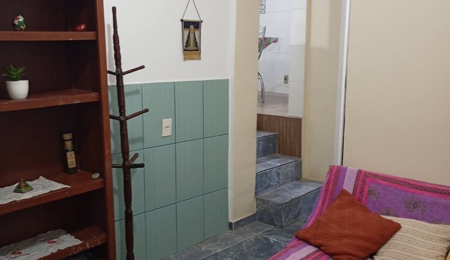 Apartment type house