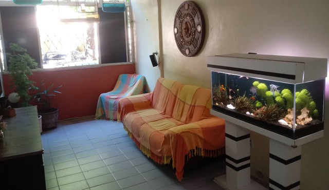 apartment or suite per season