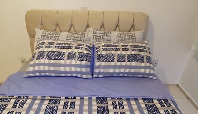 Apt Centro 2