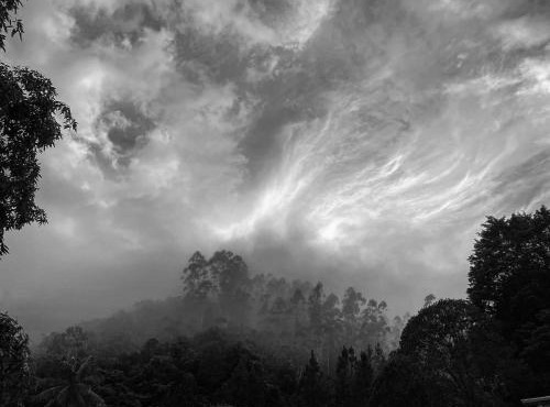 Ateliê Residência - Imersão Artística - Studio Residency - artistic Immersion