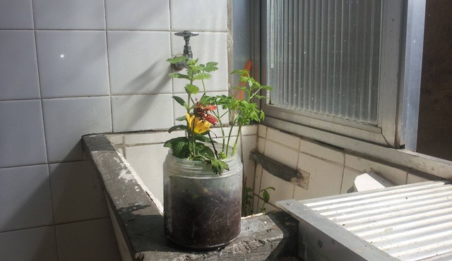 Available to rent apartment. 1 bedroom 13 m², with furnished bathroom. Large pieces.