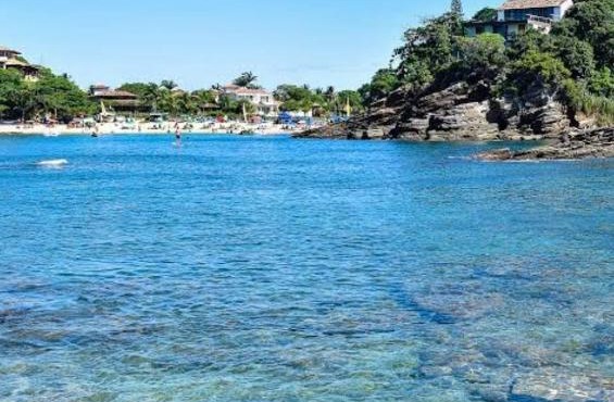 Búzius na Praia da Ferradura Frente mar