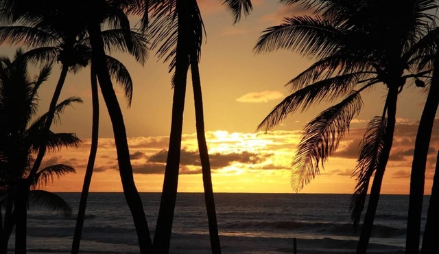Bahia Beach Front House