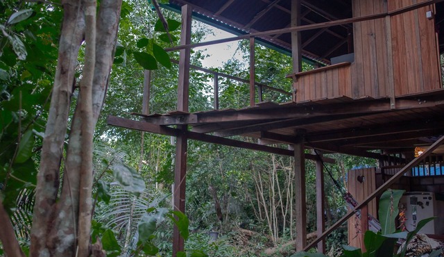 Bangalô na floresta