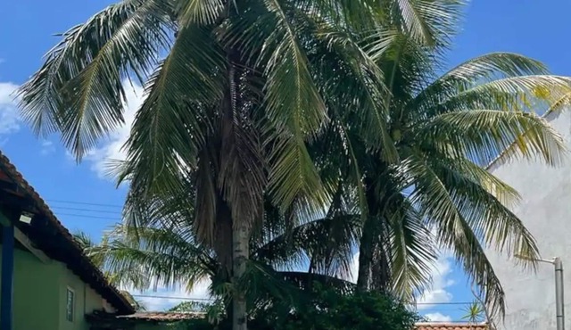 Beach bed and breakfast