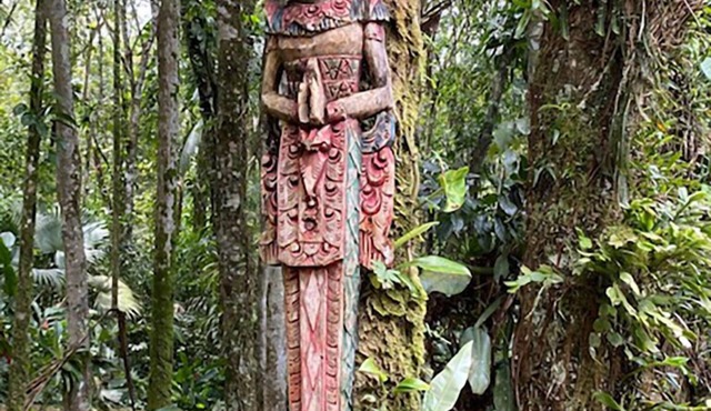 Beaches, rivers and waterfalls in the Atlantic Forest