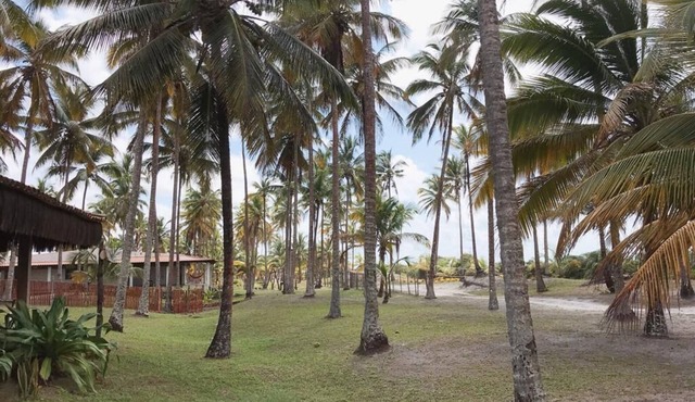 Beachfront house with excellent facilities for family leisure.