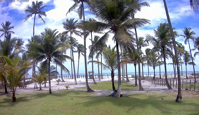 Beautiful house with pool by the sea for up to 8 people in Ilhéus-BA.