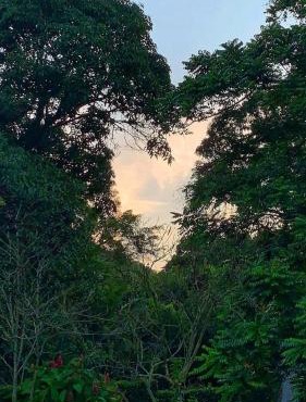 Bem-vindos ao refúgio de Paz