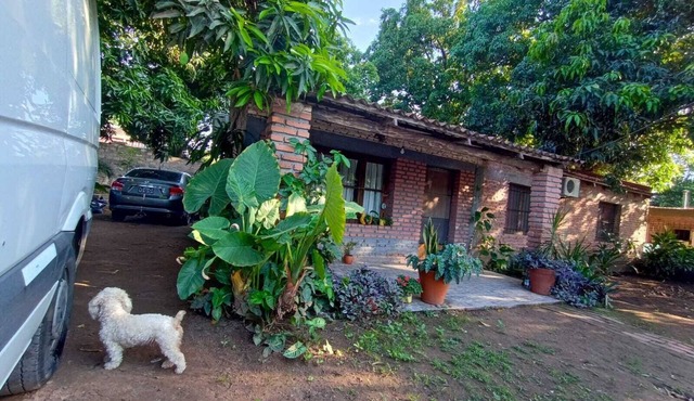 Between Mangos and Tucanes, home in the heart of the yungas