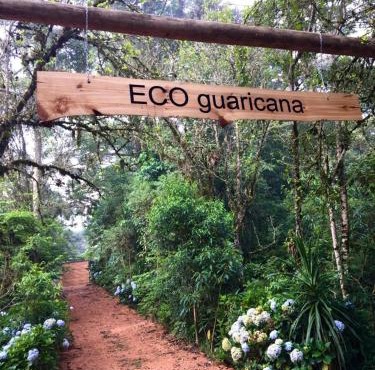 Bosque Contêiner Eco Guaricana